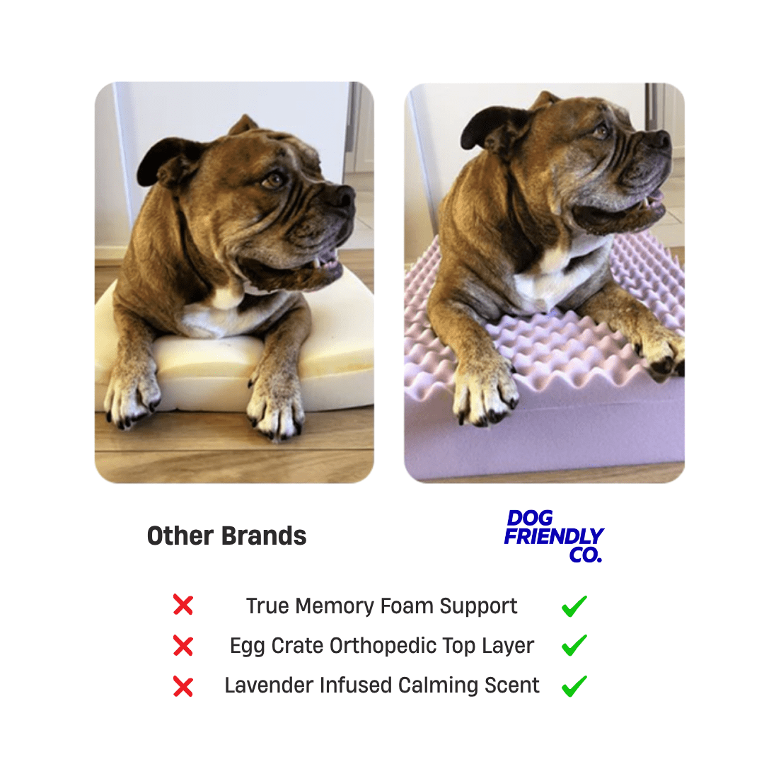 Premium Orthopedic Memory Foam Dog Bed - Brown Bouclé (Large)