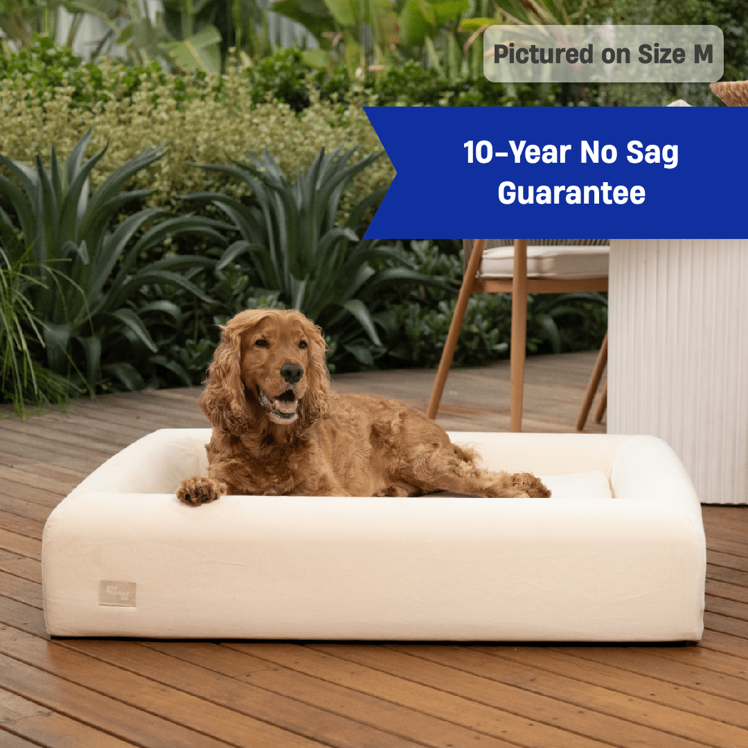 Premium Orthopedic Memory Foam Dog Bed - Beige (Large)