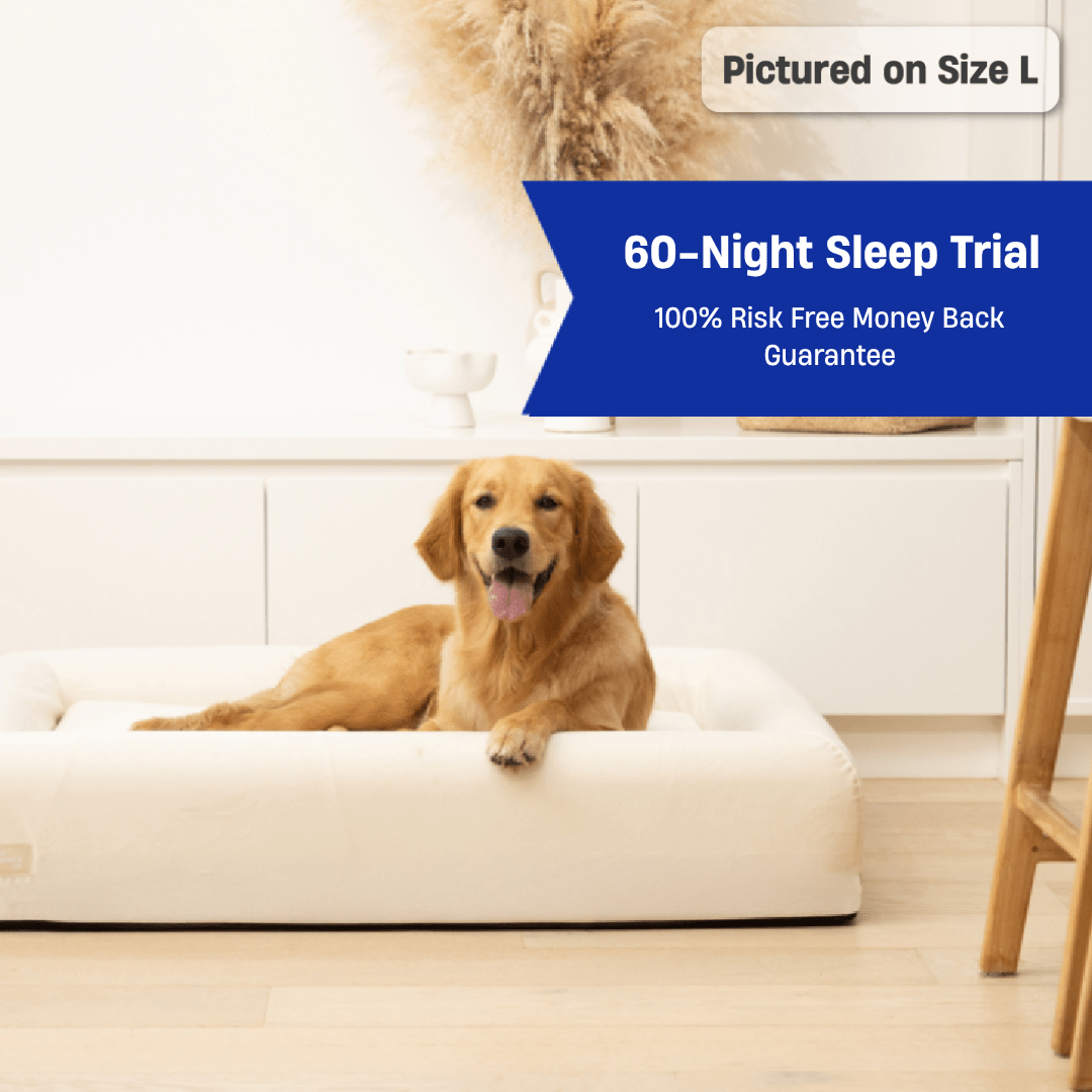 Premium Orthopedic Memory Foam Dog Bed - Beige (Large)