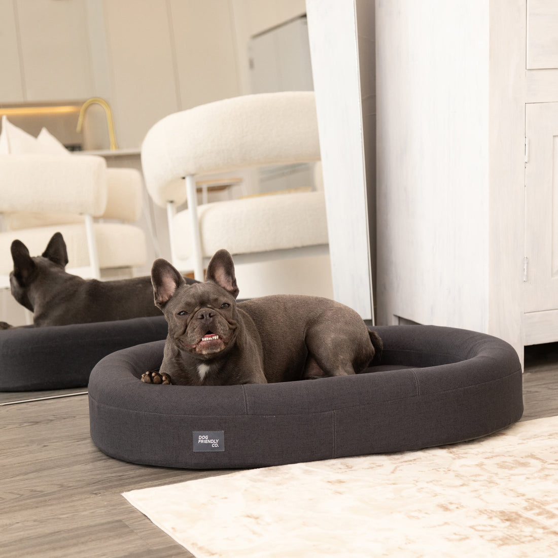 Should Your Dog’s Bed Be Bigger Than Their Size?