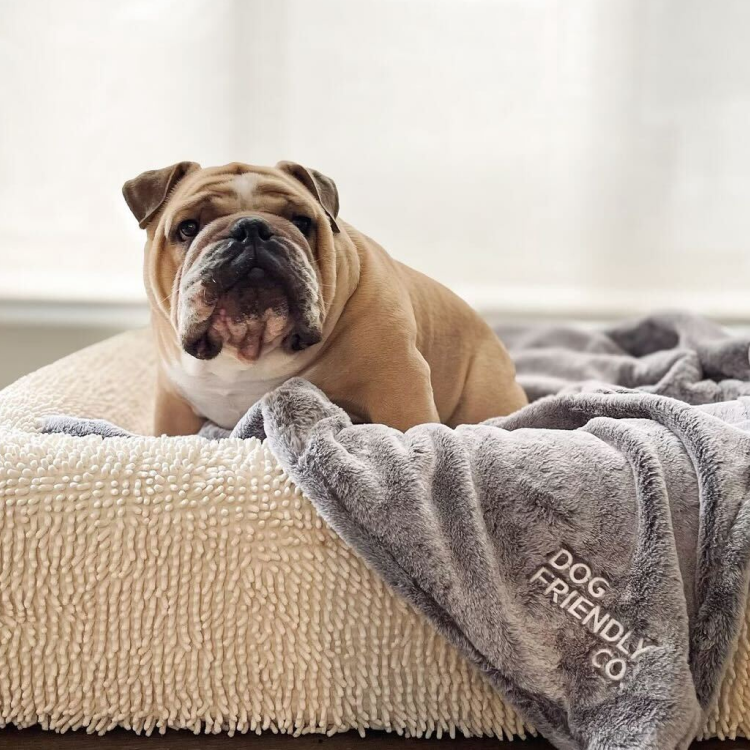 Orthopedic Memory Foam Dog Bed