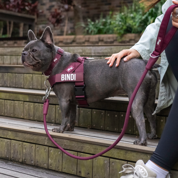 Dog Lovers Pack - Burgundy