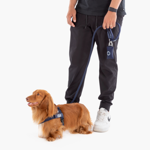 Dog Lovers Pack - Navy Blue