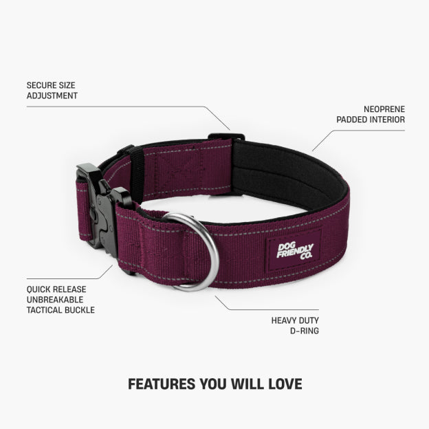 Collar Walk Set - Burgundy