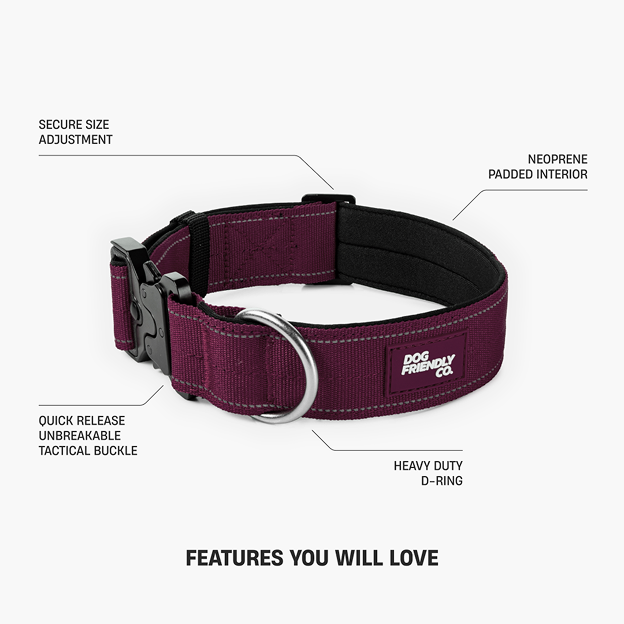 Dog Lovers Pack - Burgundy