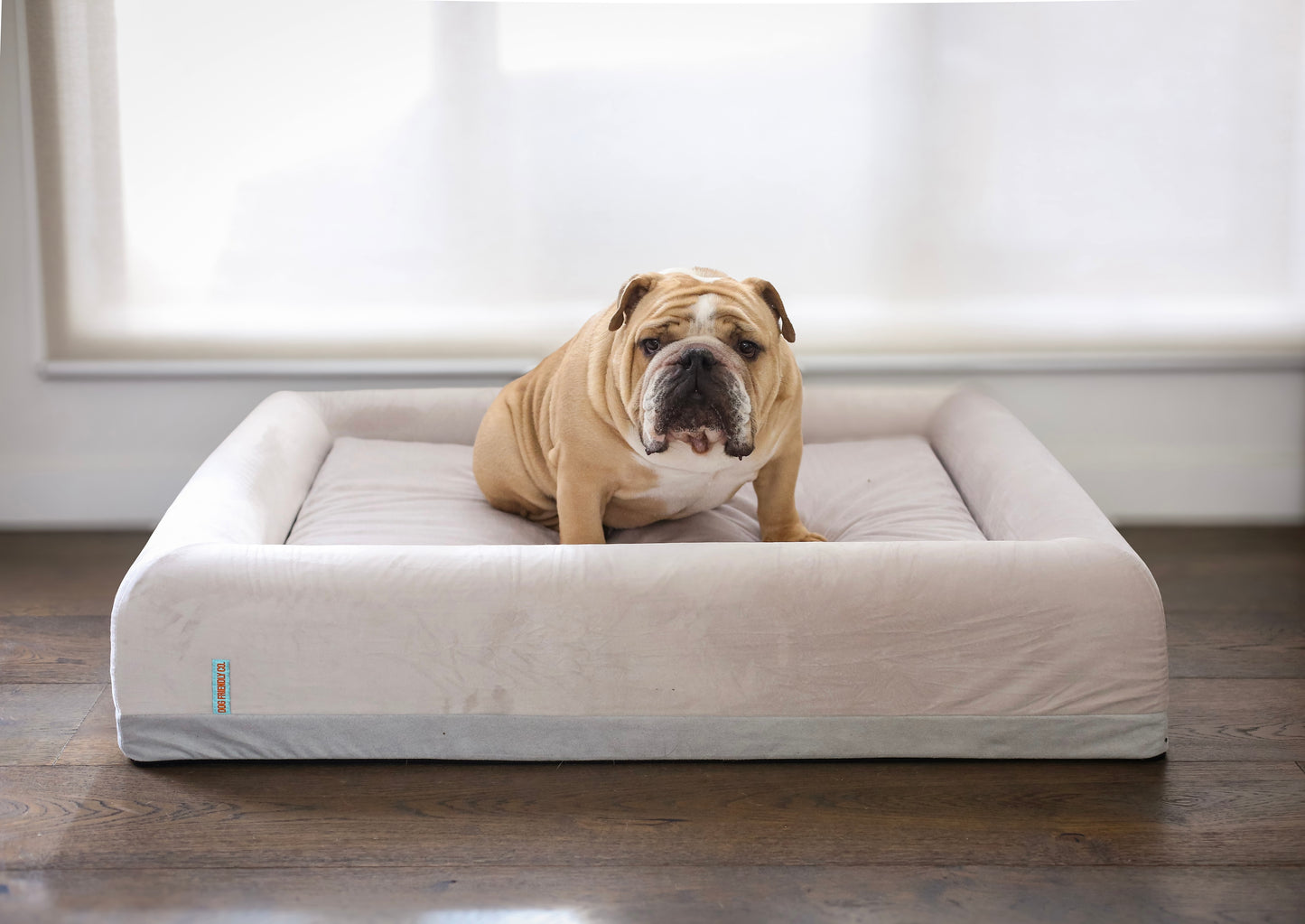 Orthopedic Memory Foam Dog Bed