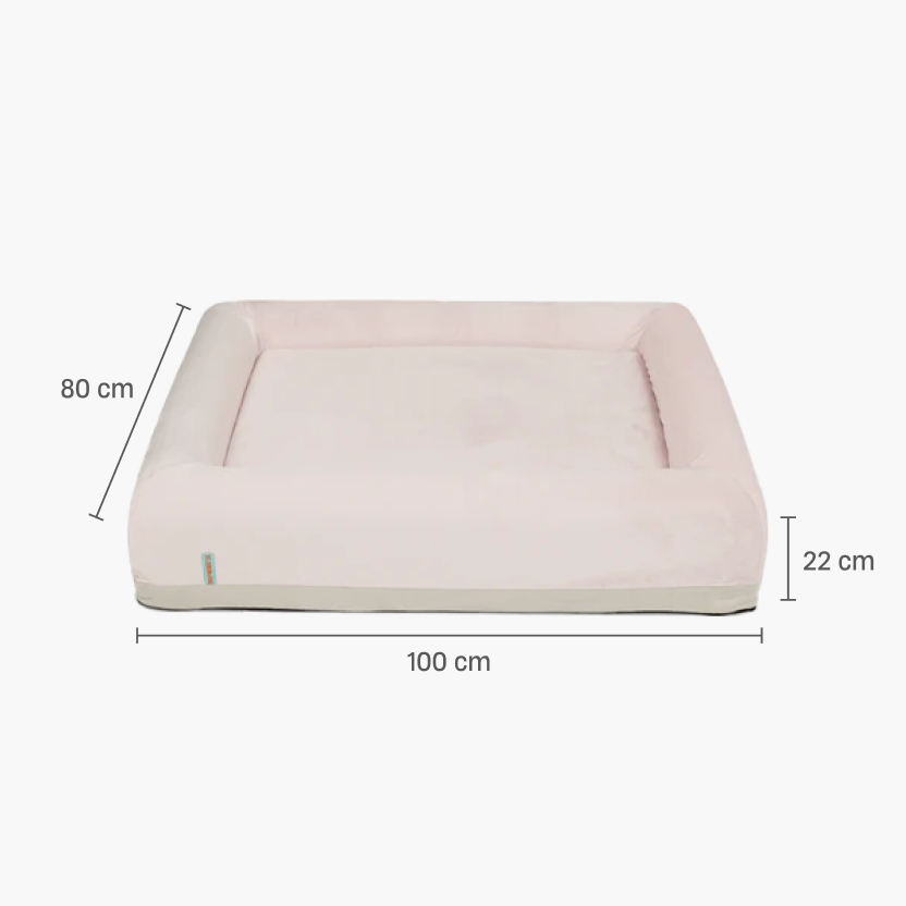 Orthopedic Memory Foam Dog Bed - Pink (Medium)