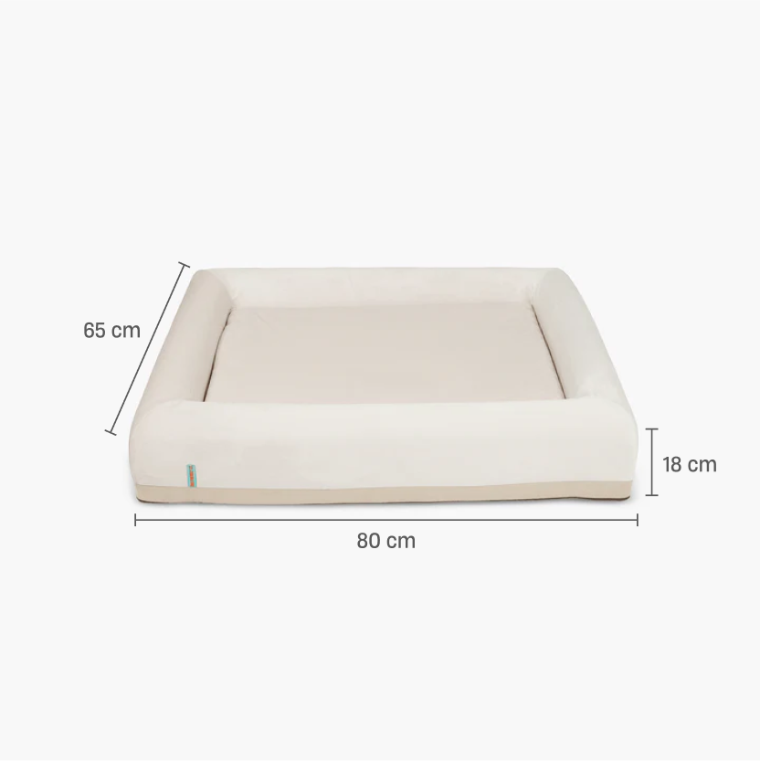 Orthopedic Memory Foam Dog Bed - Beige (Small)