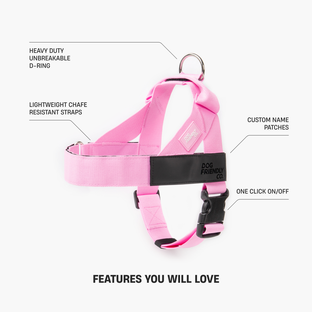 Dog Harness - Pink