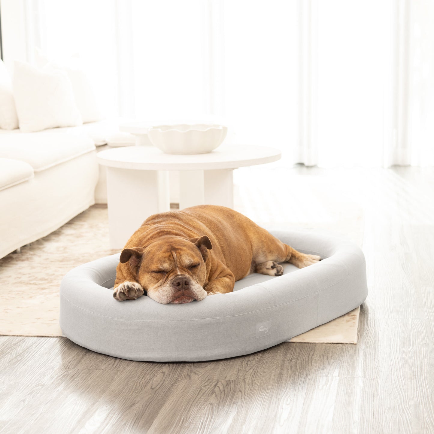 Chill Pill Memory Foam Dog Bed - Grey (Large)