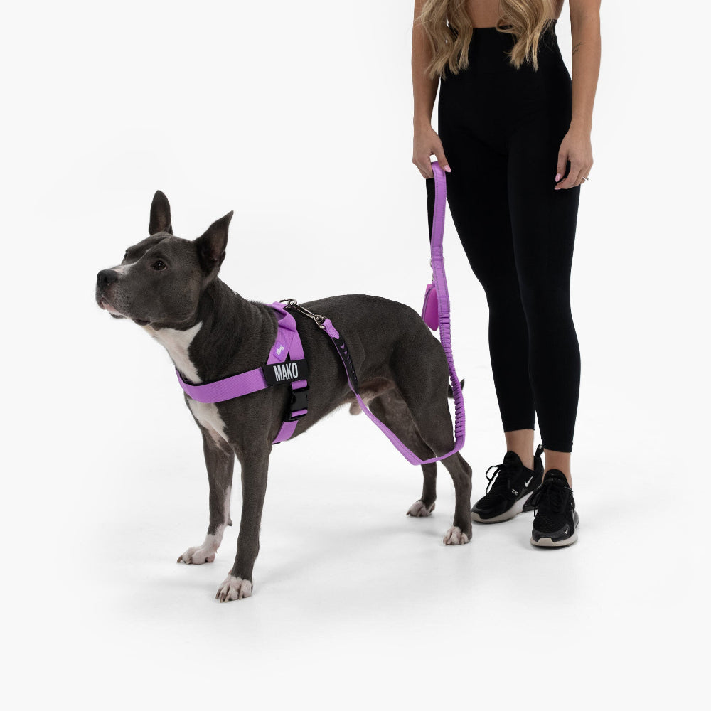 Dog Harness - Purple