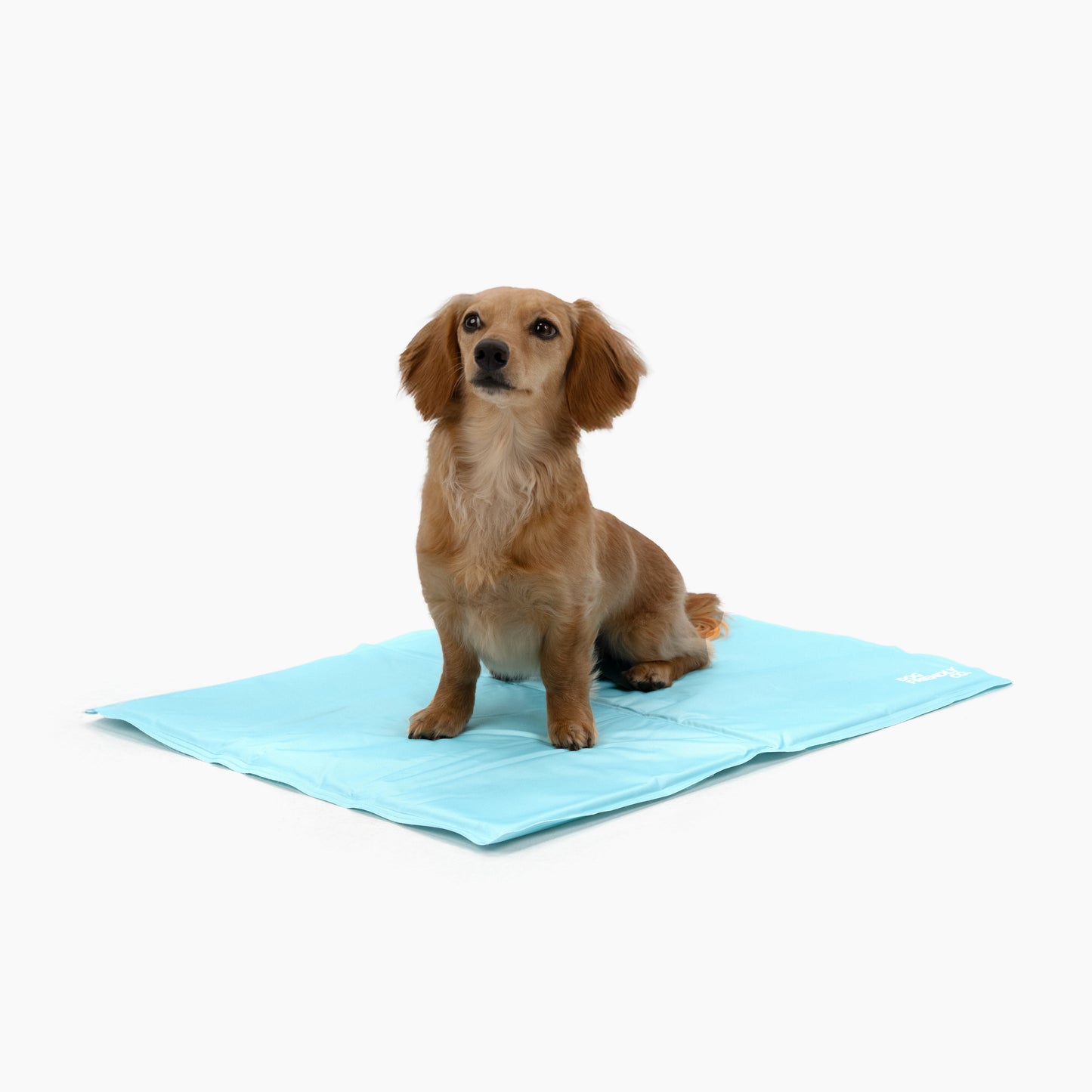 Dog Cooling Mat