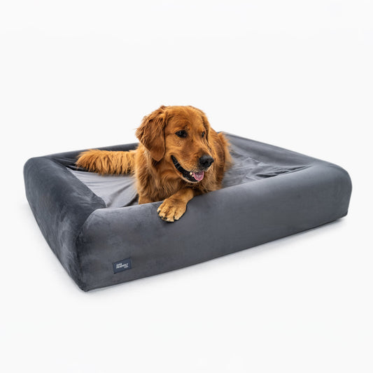 Premium Orthopedic Memory Foam Dog Bed - Charcoal (Small)