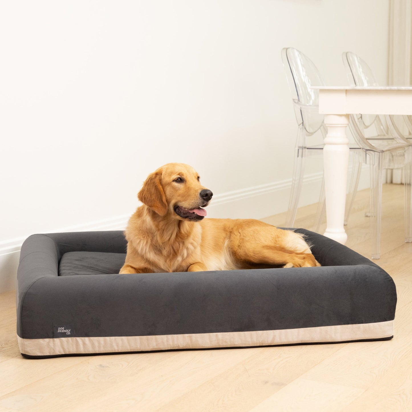 Premium Orthopedic Memory Foam Dog Bed - Charcoal (Medium)