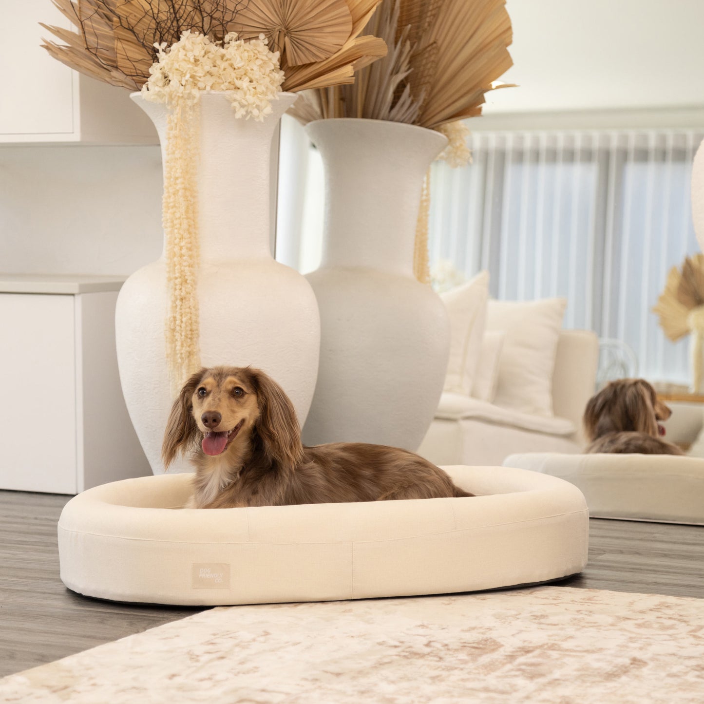 Chill Pill Memory Foam Dog Bed - Beige (Small)