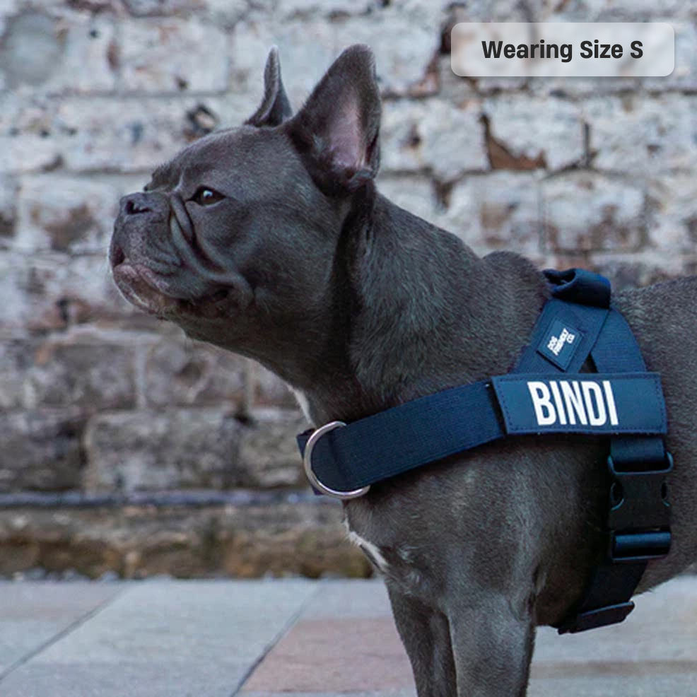 Dog Harness - Navy Blue