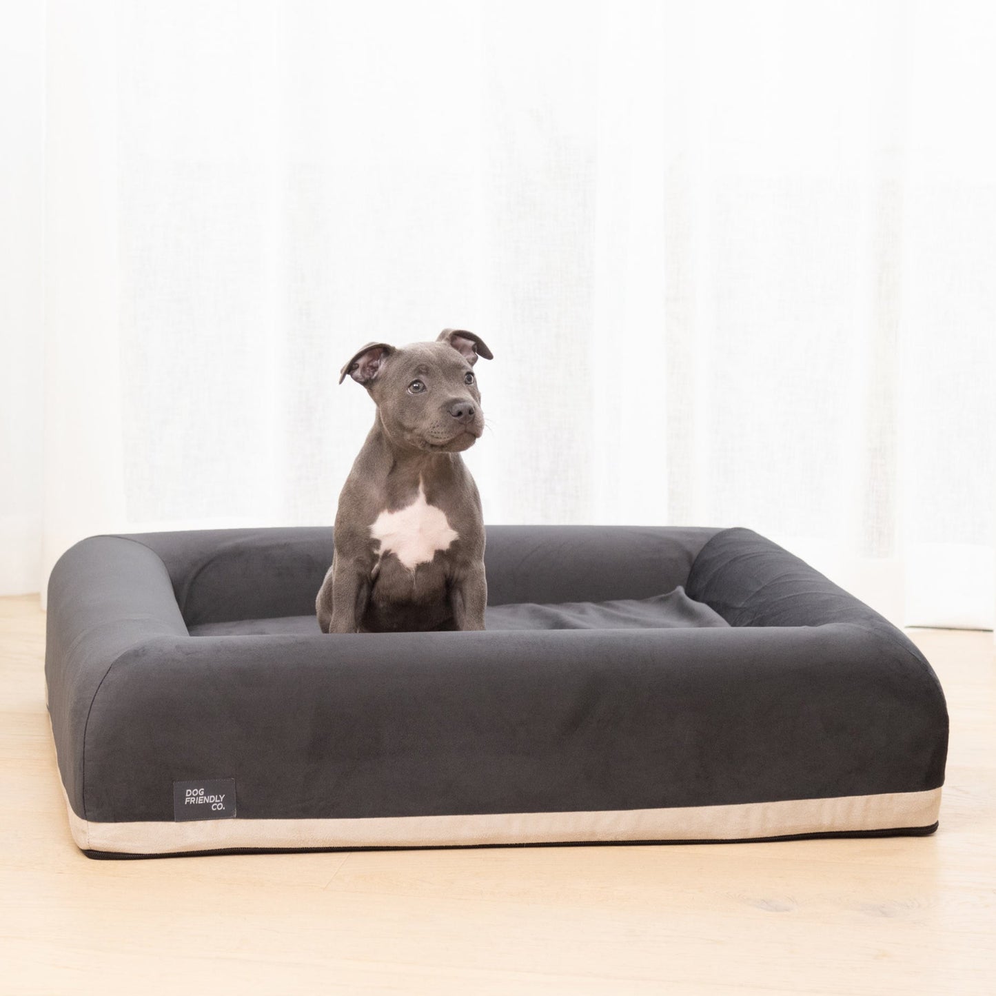 Premium Orthopedic Memory Foam Dog Bed - Charcoal (Medium)