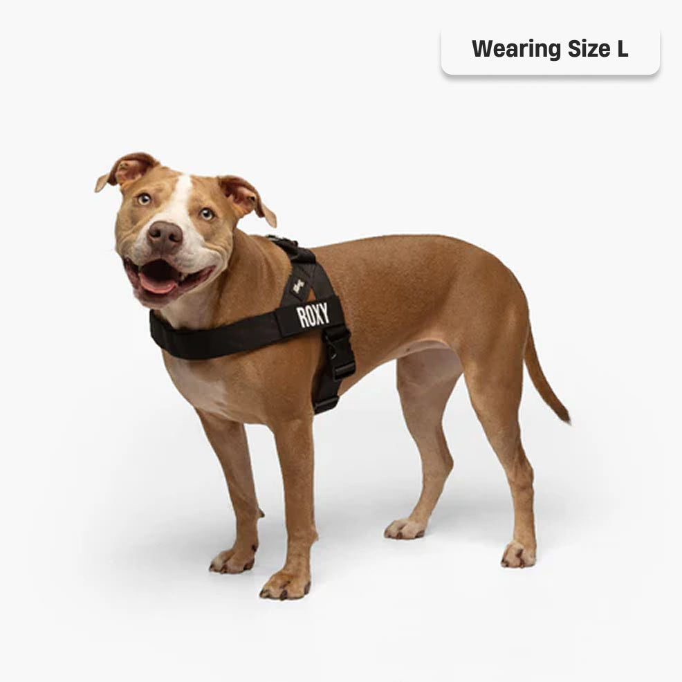 Dog Harness - Black