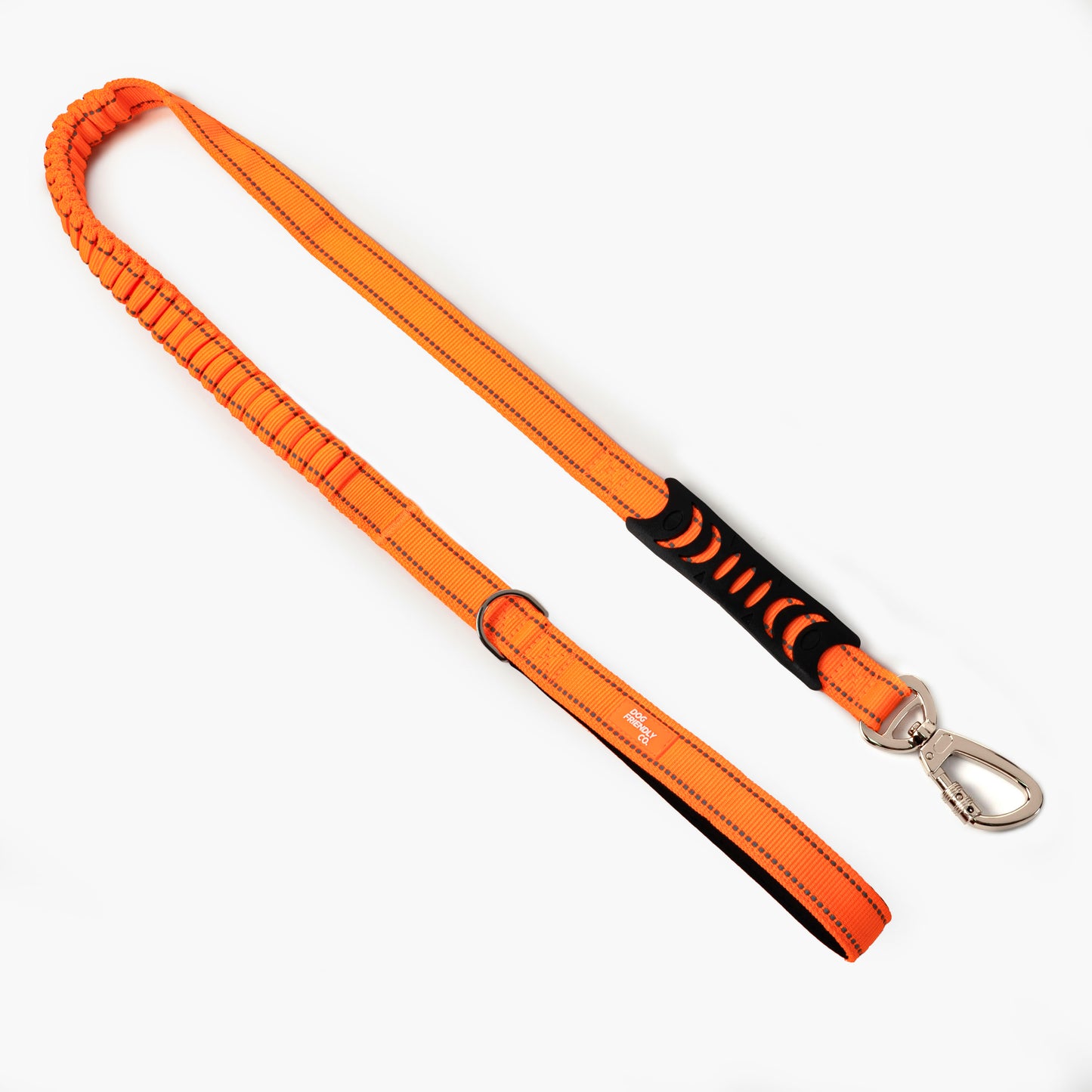 Bungee Dog Leash