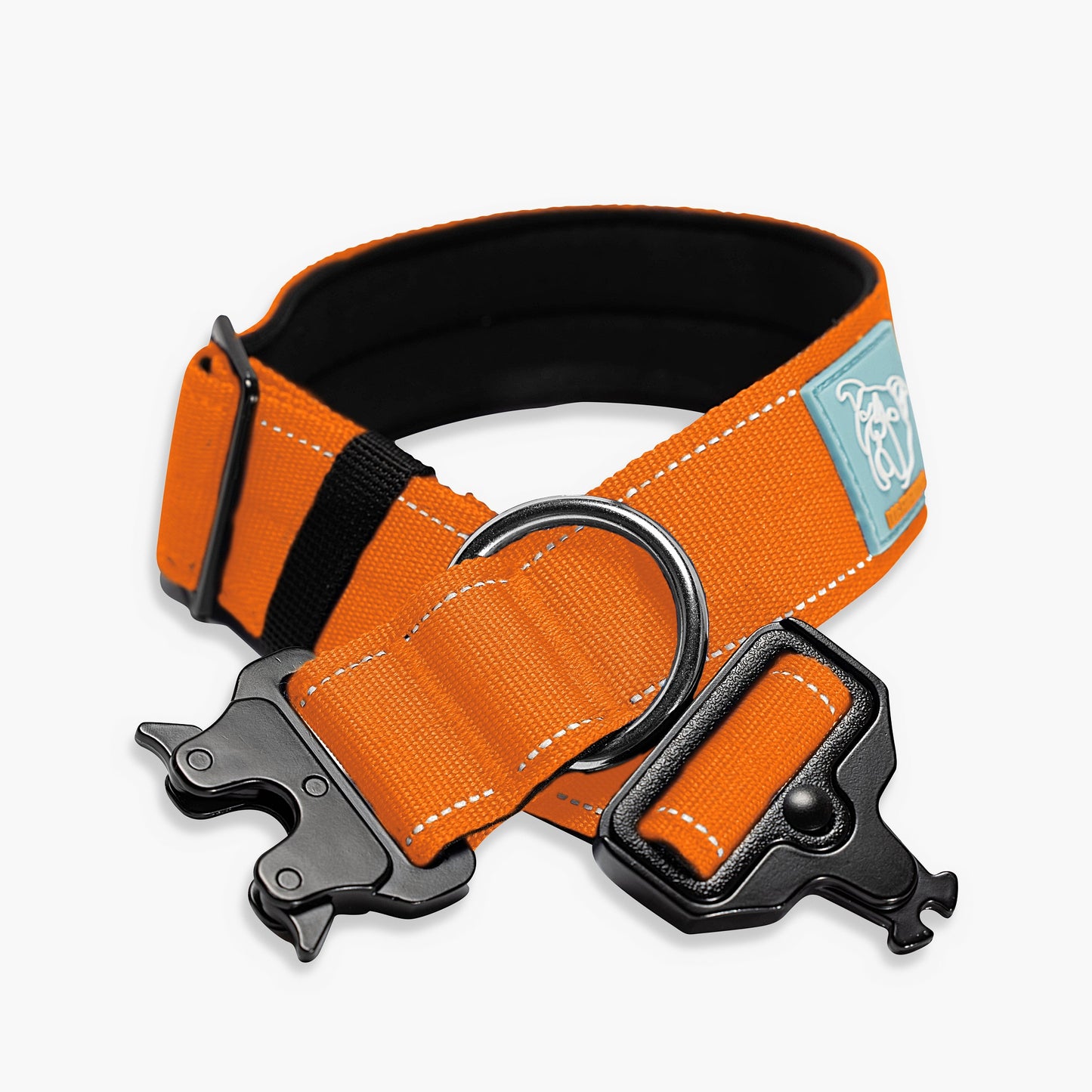 Collar Walk Set - Hi-Vis Orange