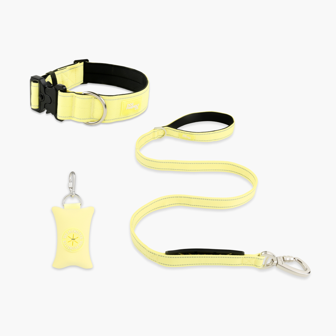 Collar Walk Set