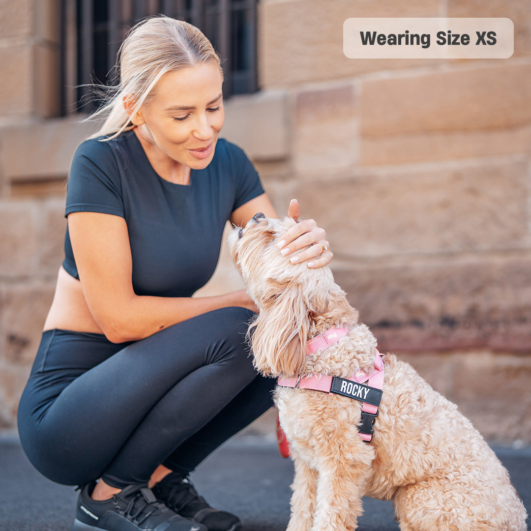 Dog Harness - Pink