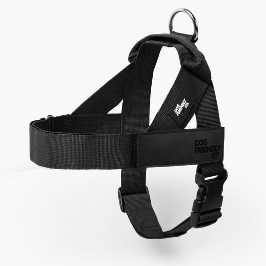 Dog Harness - Black