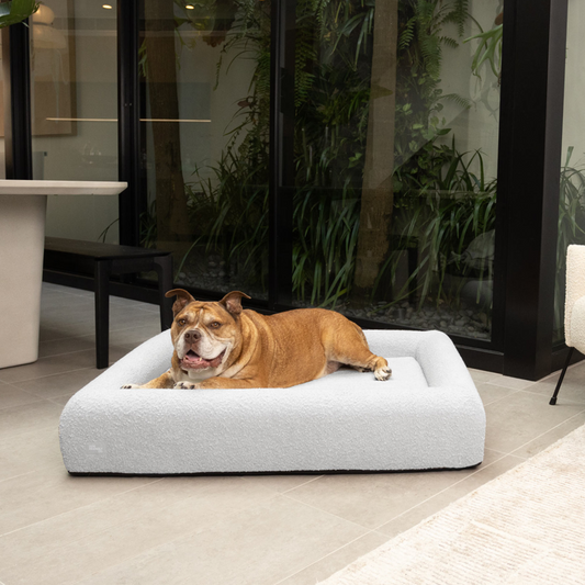 Premium Orthopedic Memory Foam Dog Bed - Grey Bouclé (Small)