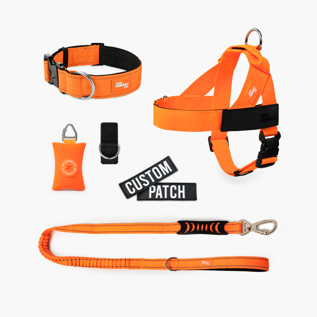 Walk Essentials - Hi-Vis Orange