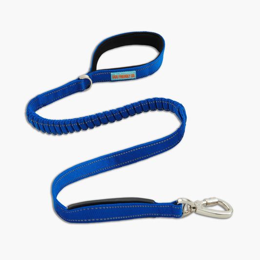 Bungee Dog Leash