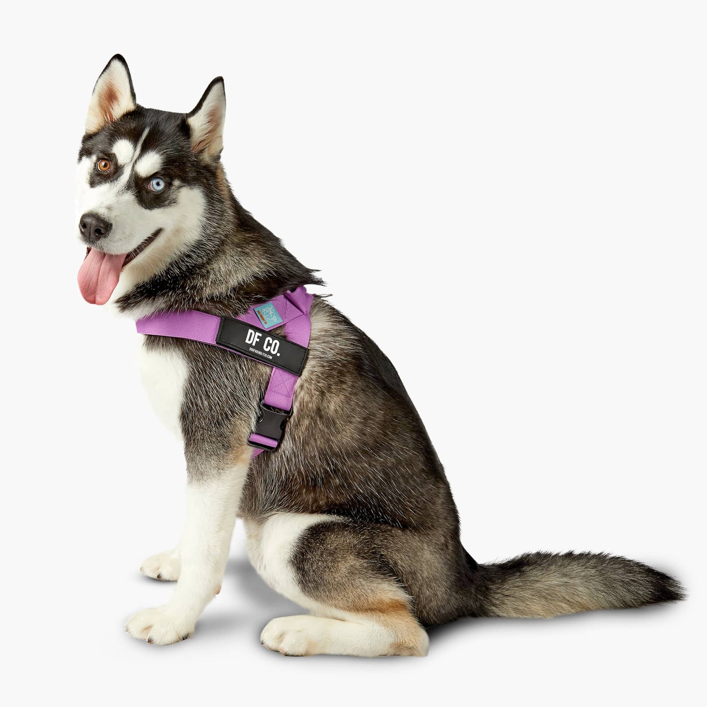 Dog Harness