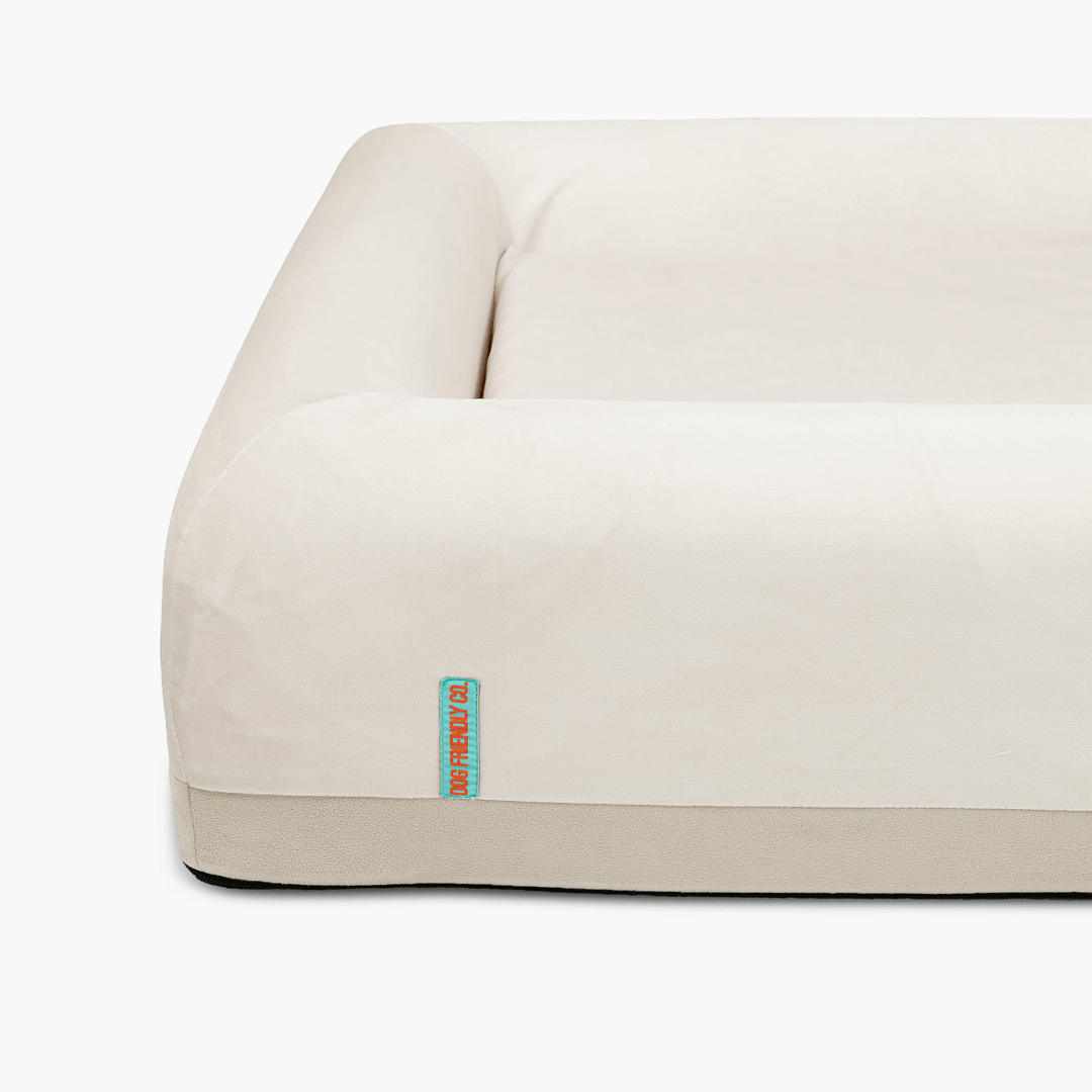 Orthopedic Memory Foam Dog Bed